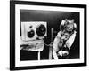 Pet Radio-null-Framed Photographic Print