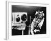 Pet Radio-null-Framed Photographic Print