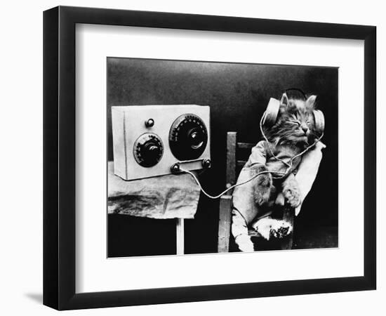 Pet Radio-null-Framed Photographic Print