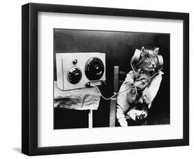 Pet Radio-null-Framed Photographic Print