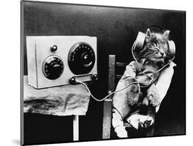 Pet Radio-null-Mounted Photographic Print