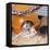 Pet Rat in Bed in Cage-null-Framed Stretched Canvas