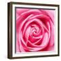 Petal by Petal-Ben Heine-Framed Photographic Print