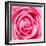 Petal by Petal-Ben Heine-Framed Photographic Print