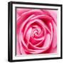 Petal by Petal-Ben Heine-Framed Photographic Print