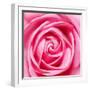 Petal by Petal-Ben Heine-Framed Photographic Print