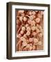 Petal of a Snapdragon-Micro Discovery-Framed Photographic Print