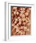 Petal of a Snapdragon-Micro Discovery-Framed Photographic Print