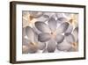 Petal Perfect-Assaf Frank-Framed Giclee Print