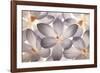 Petal Perfect-Assaf Frank-Framed Art Print