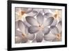 Petal Perfect-Assaf Frank-Framed Art Print