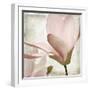 Petal Purity II-Mindy Sommers-Framed Giclee Print