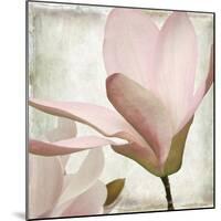 Petal Purity II-Mindy Sommers-Mounted Giclee Print