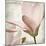 Petal Purity II-Mindy Sommers-Mounted Giclee Print