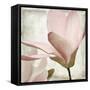 Petal Purity II-Mindy Sommers-Framed Stretched Canvas