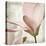 Petal Purity II-Mindy Sommers-Stretched Canvas