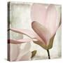 Petal Purity II-Mindy Sommers-Stretched Canvas
