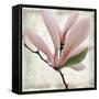 Petal Purity III-Mindy Sommers-Framed Stretched Canvas