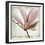 Petal Purity III-Mindy Sommers-Framed Giclee Print