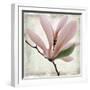 Petal Purity III-Mindy Sommers-Framed Giclee Print
