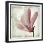 Petal Purity IV-Mindy Sommers-Framed Giclee Print