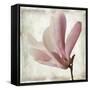 Petal Purity IV-Mindy Sommers-Framed Stretched Canvas