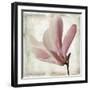 Petal Purity IV-Mindy Sommers-Framed Giclee Print