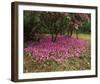 Petal Shower-Bent Rej-Framed Giclee Print