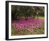 Petal Shower-Bent Rej-Framed Giclee Print