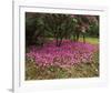 Petal Shower-Bent Rej-Framed Giclee Print