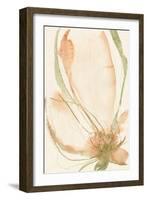 Petal Sketches I-Jennifer Goldberger-Framed Art Print