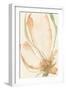 Petal Sketches I-Jennifer Goldberger-Framed Art Print