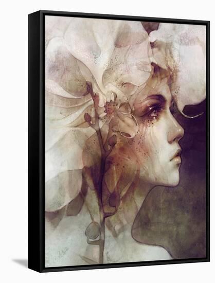 Petal-Anna Dittman-Framed Stretched Canvas