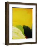 Petal-Tim O'toole-Framed Giclee Print