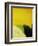 Petal-Tim O'toole-Framed Giclee Print