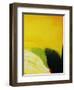 Petal-Tim O'toole-Framed Giclee Print