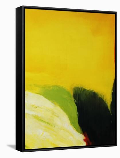 Petal-Tim O'toole-Framed Stretched Canvas