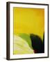 Petal-Tim O'toole-Framed Giclee Print