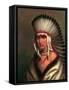 Petalesharo (Generous Chief)-Charles Bird King-Framed Stretched Canvas