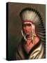 Petalesharo (Generous Chief)-Charles Bird King-Stretched Canvas