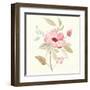 Petals and Blossoms VI-Silvia Vassileva-Framed Art Print