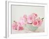 Petals and Porcelain-Sarah Gardner-Framed Photographic Print