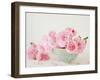 Petals and Porcelain-Sarah Gardner-Framed Photographic Print