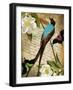 Petals and Wings V-null-Framed Giclee Print