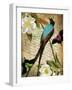 Petals and Wings V-null-Framed Giclee Print