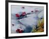 Petals Floating Downstream-Mary Smith-Framed Giclee Print