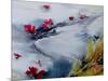 Petals Floating Downstream-Mary Smith-Mounted Giclee Print