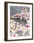 Petals floating on water-Richard Powers-Framed Photo