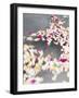 Petals floating on water-Richard Powers-Framed Photo