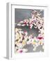 Petals floating on water-Richard Powers-Framed Photo